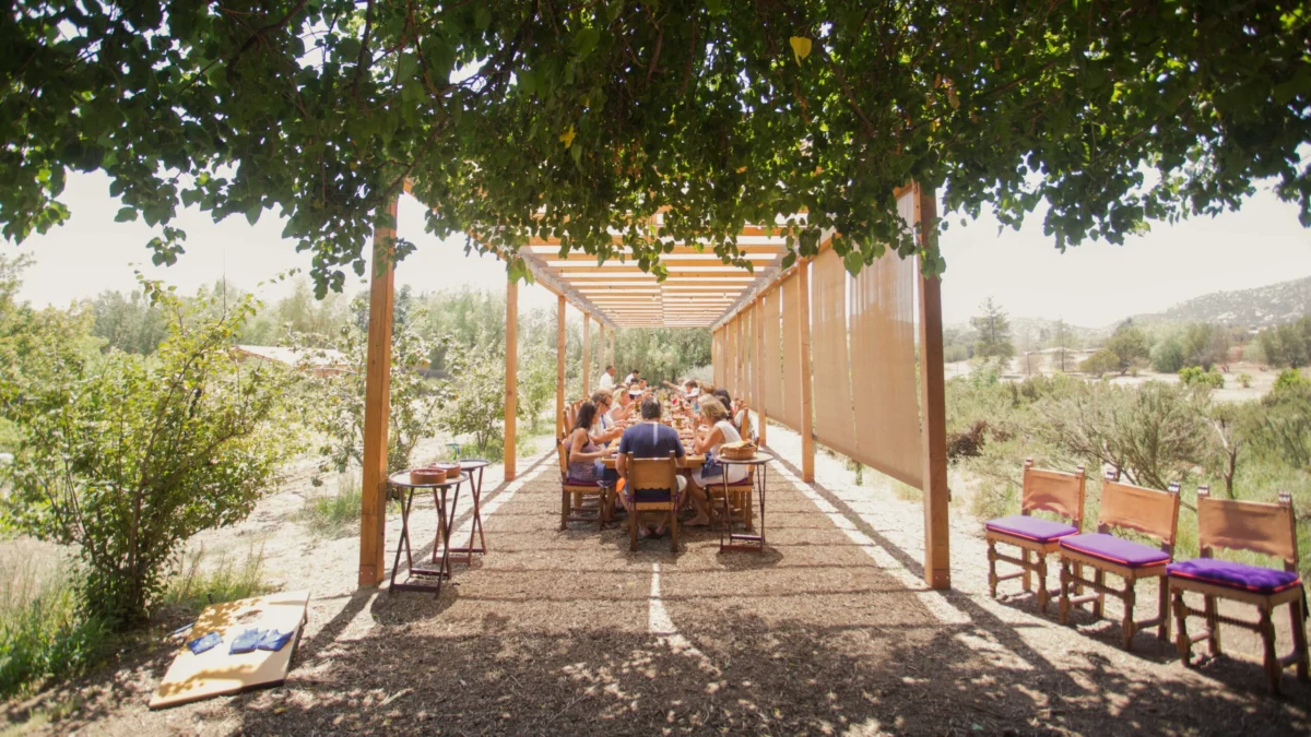 The Rise of Hushpitality: Inside the Transformative Power of Silent Dining at Rancho La Puerta