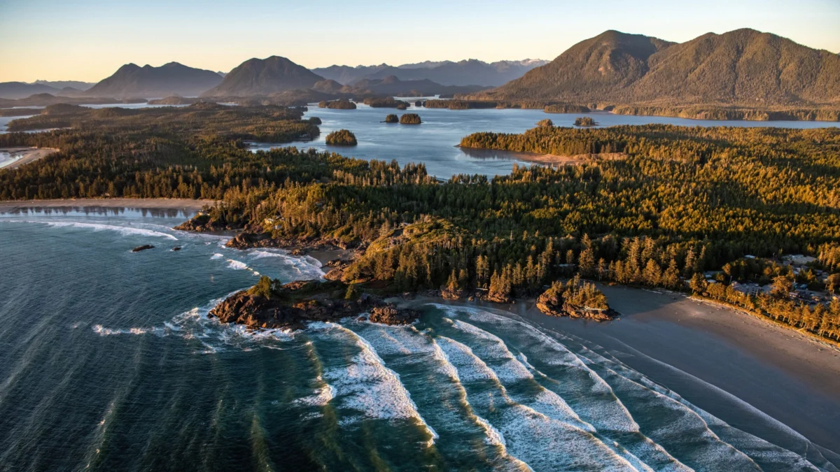 The Rise of Vancouver Islands Spa Safari: A Journey Through Nature-Infused Wellness and Indigenous Stewardship